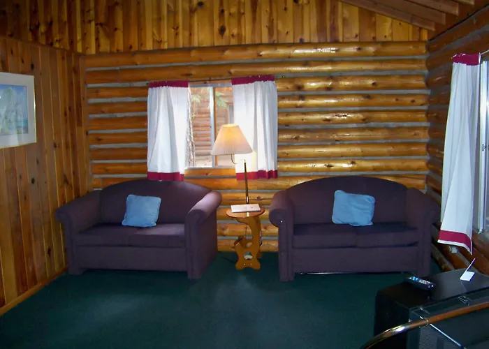 Hotel Of The Woods