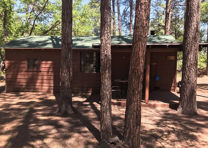 Hotel Of The Woods 3*