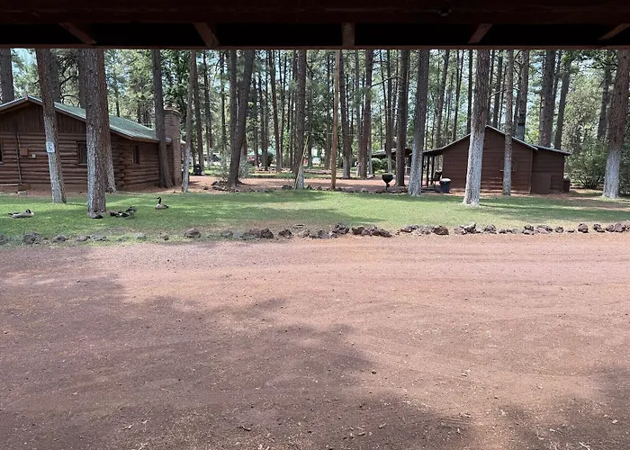 Hotel Of The Woods