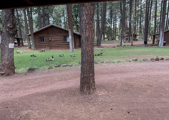 Hotel Of The Woods Lakeside