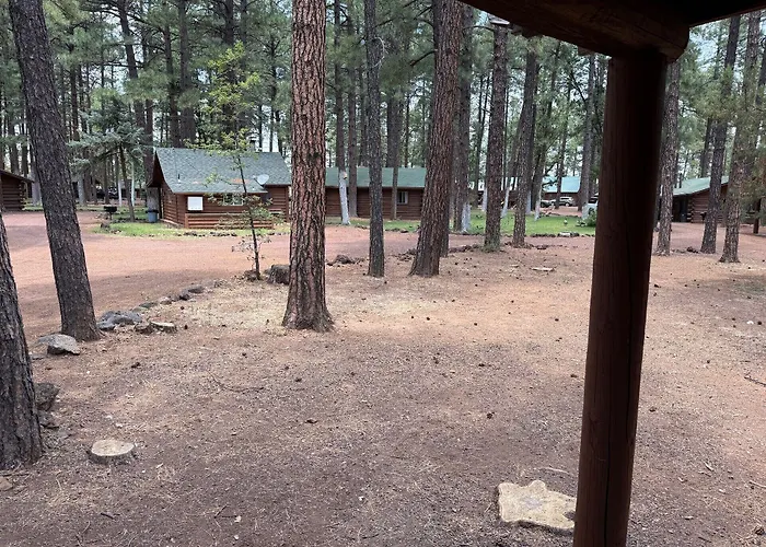 Of The Woods 3*